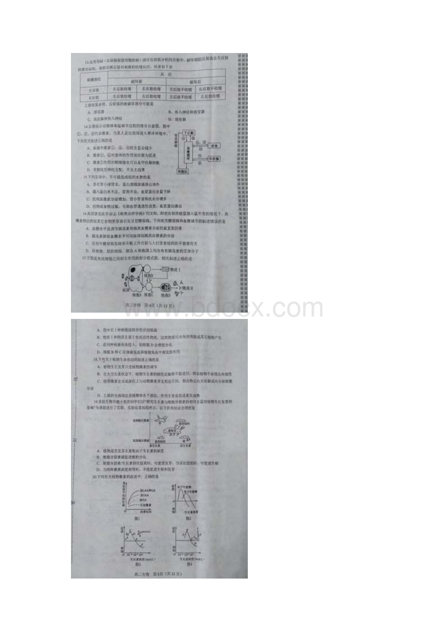 河南省南阳市学年高二生物上学期期末考试试题含答案.docx_第3页