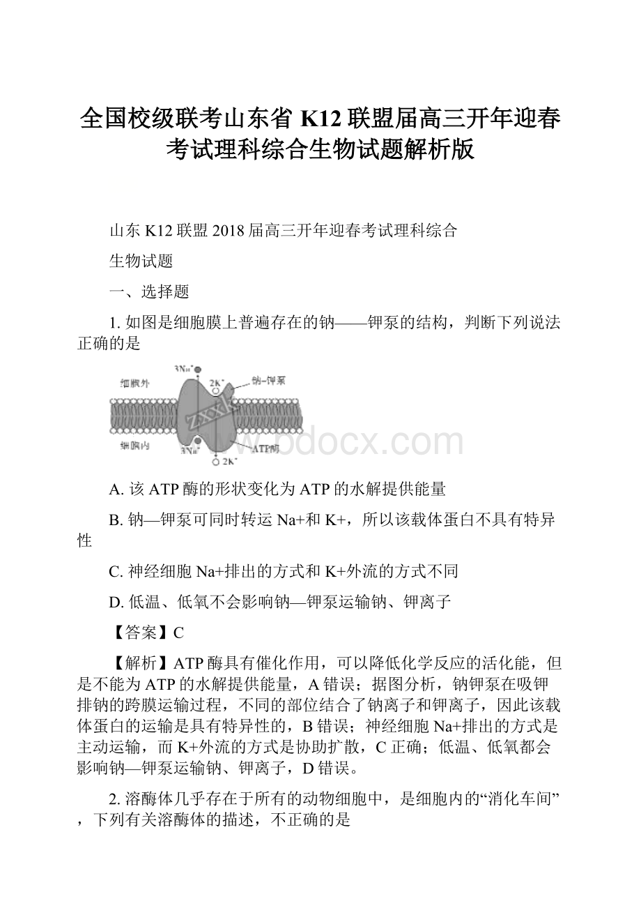 全国校级联考山东省K12联盟届高三开年迎春考试理科综合生物试题解析版Word文档格式.docx