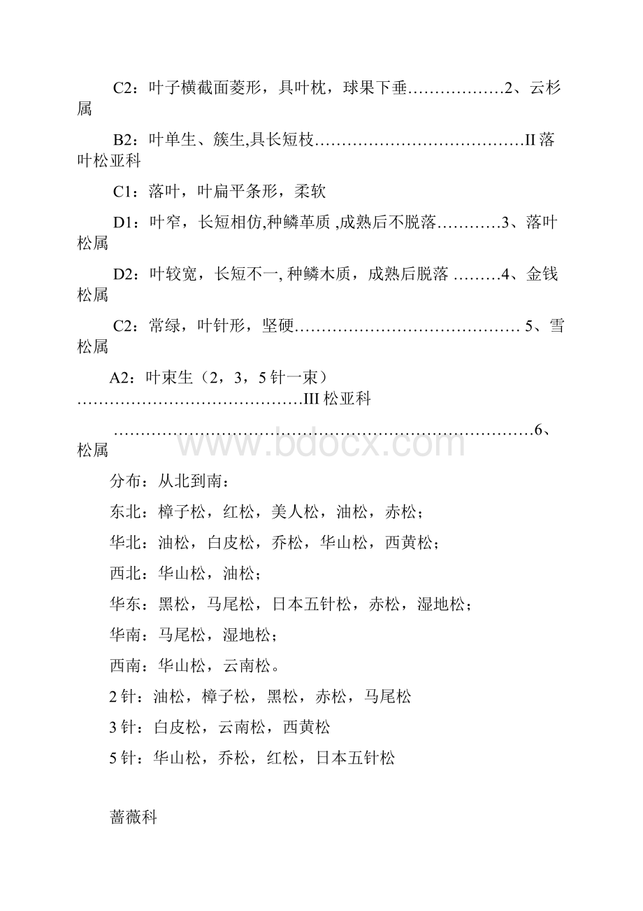 园林树木学复习提纲各论部分.docx_第2页