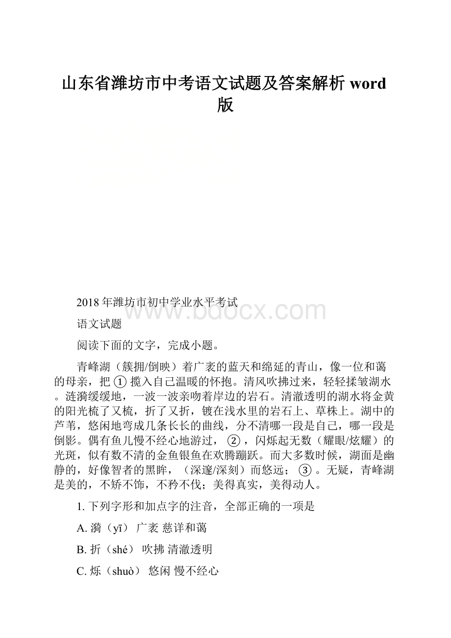 山东省潍坊市中考语文试题及答案解析word版.docx