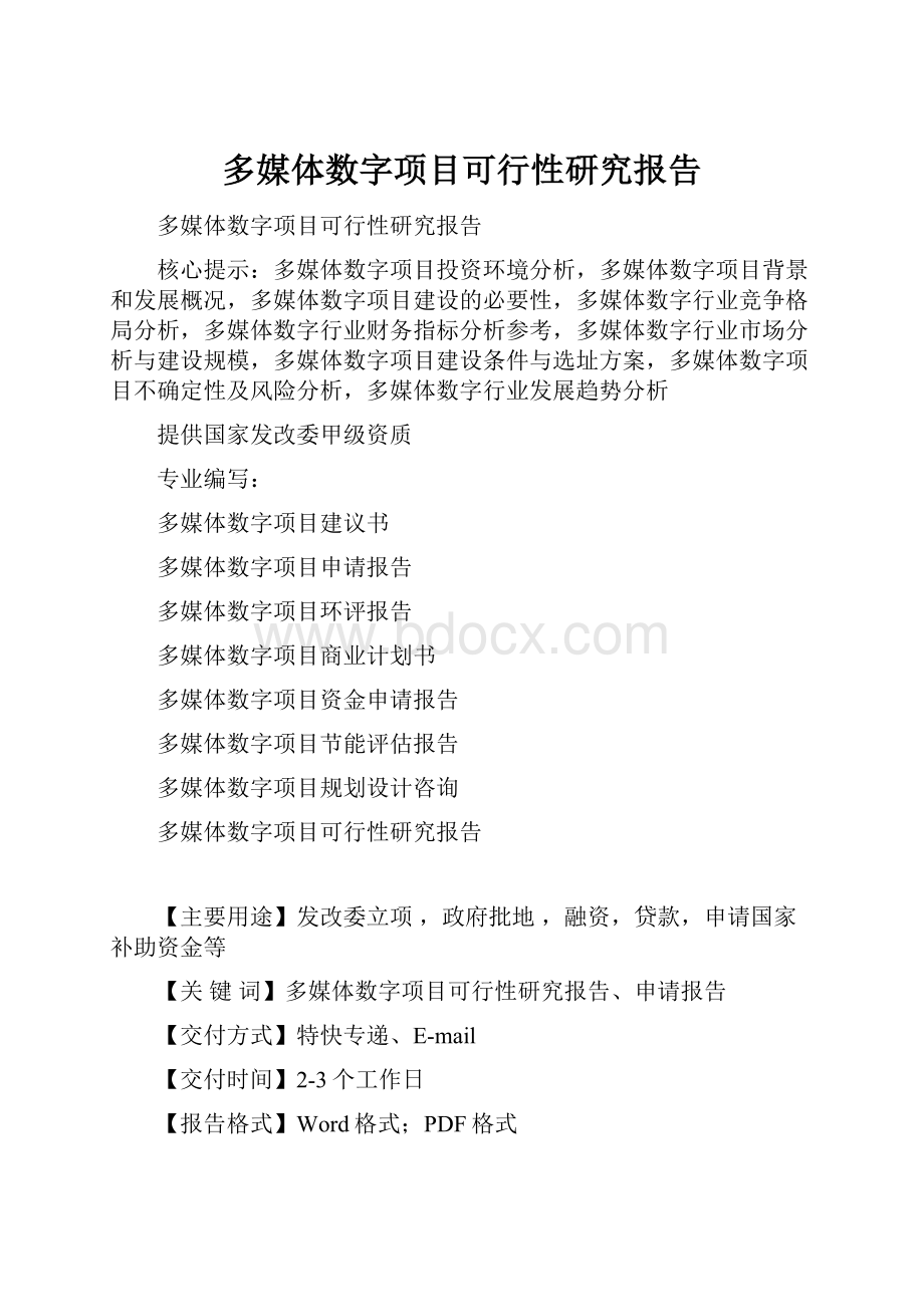 多媒体数字项目可行性研究报告.docx