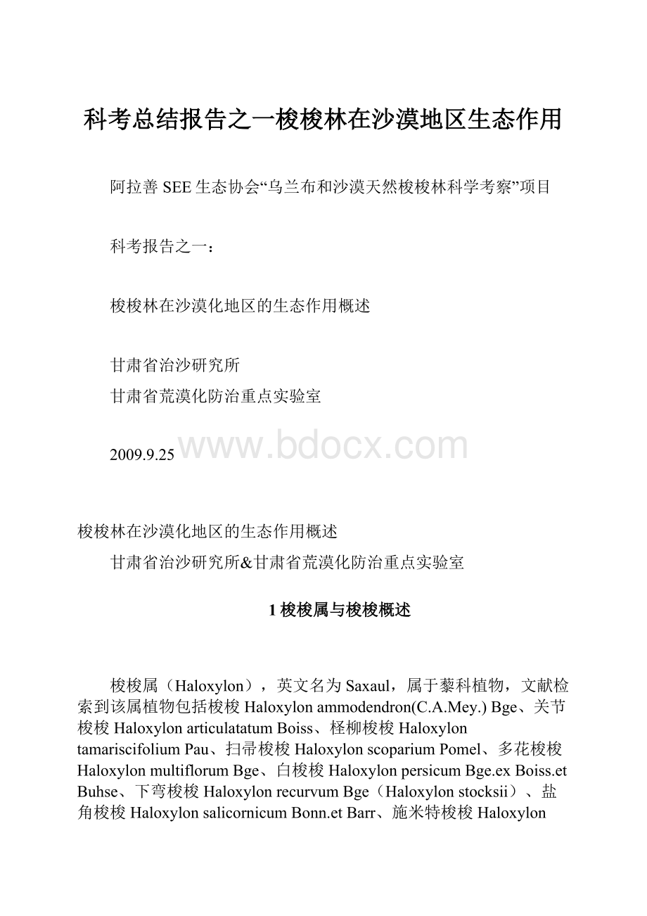 科考总结报告之一梭梭林在沙漠地区生态作用文档格式.docx