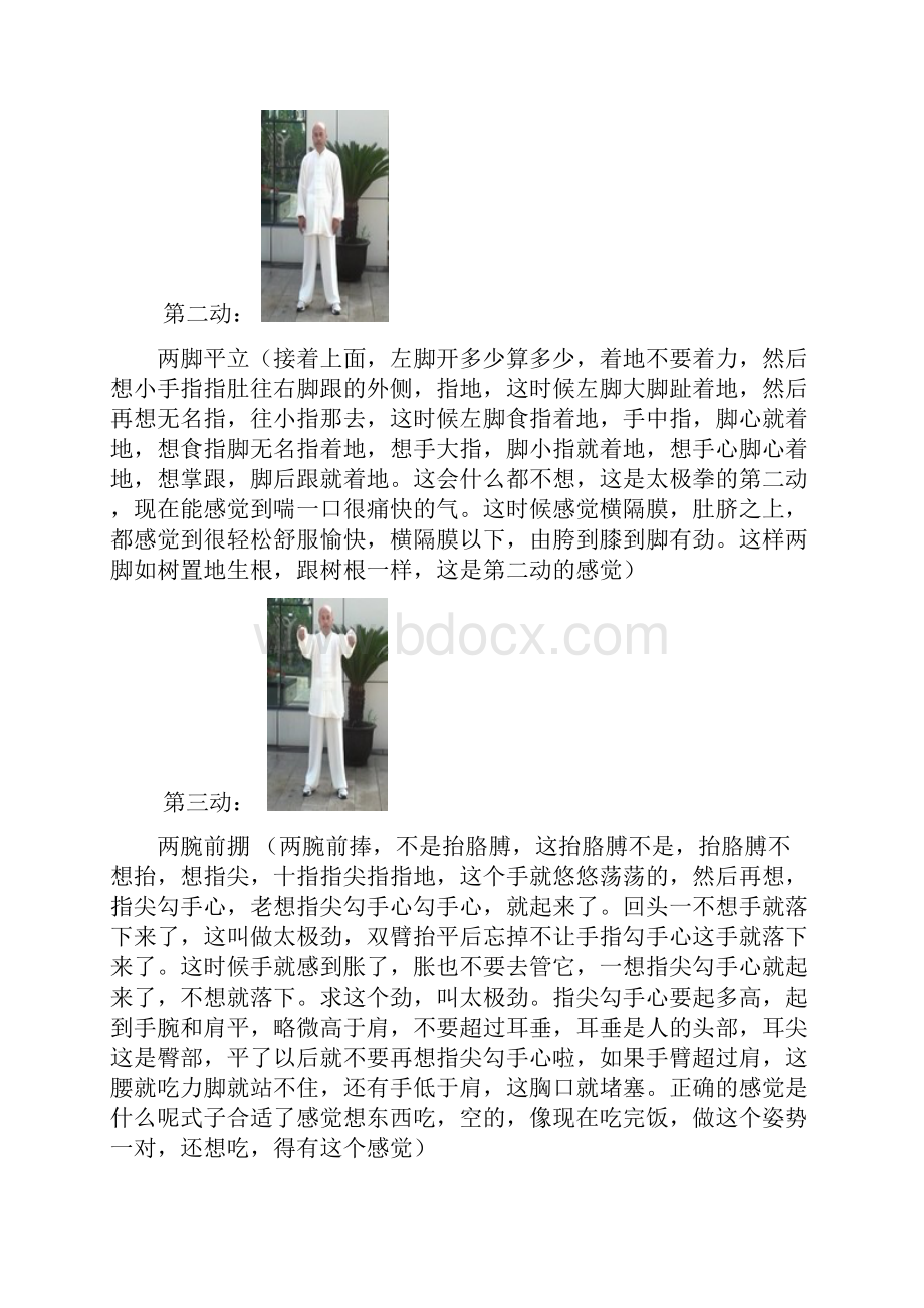 吴氏三十七式太极拳分解动作图解演示内部教材.docx_第2页