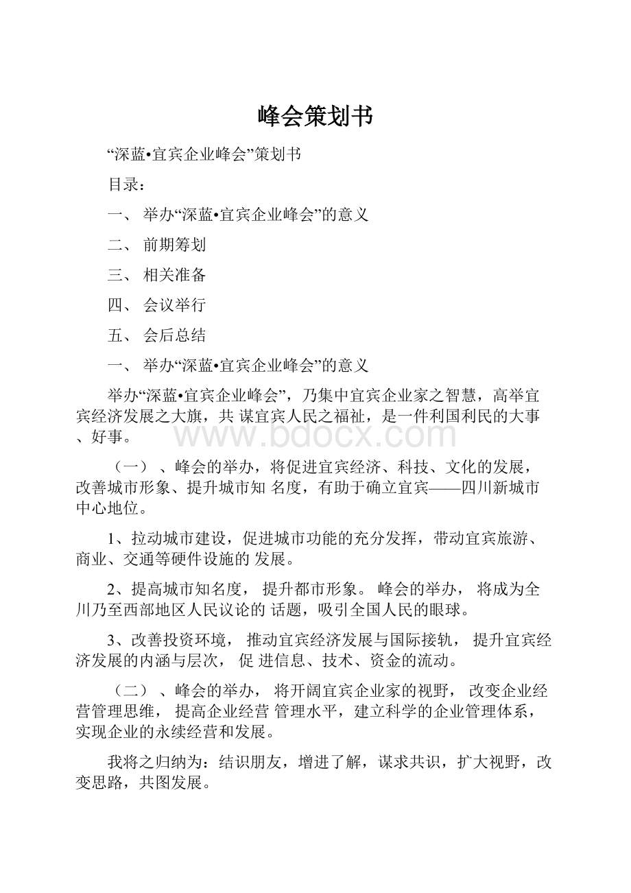 峰会策划书Word文档下载推荐.docx