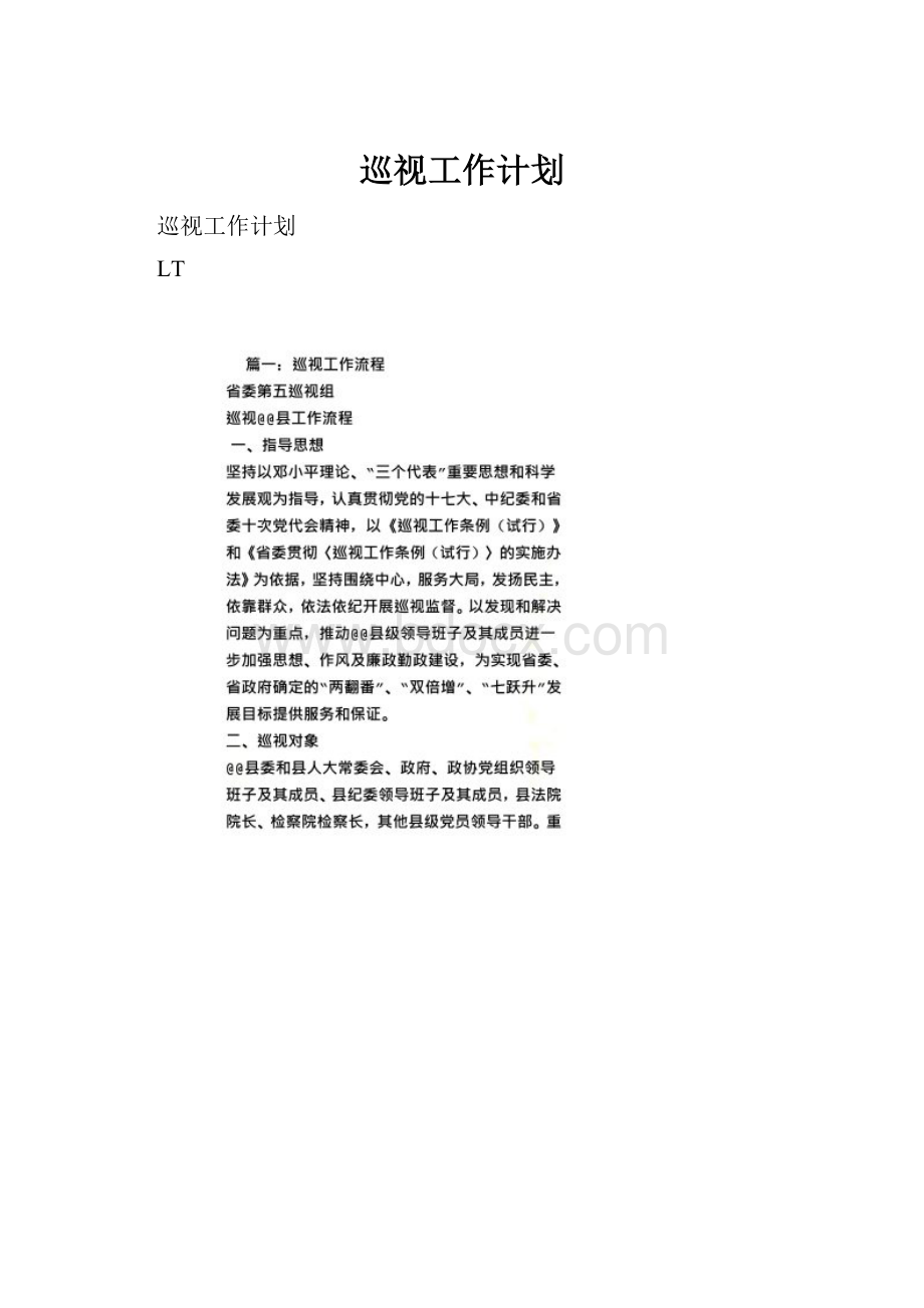 巡视工作计划Word下载.docx