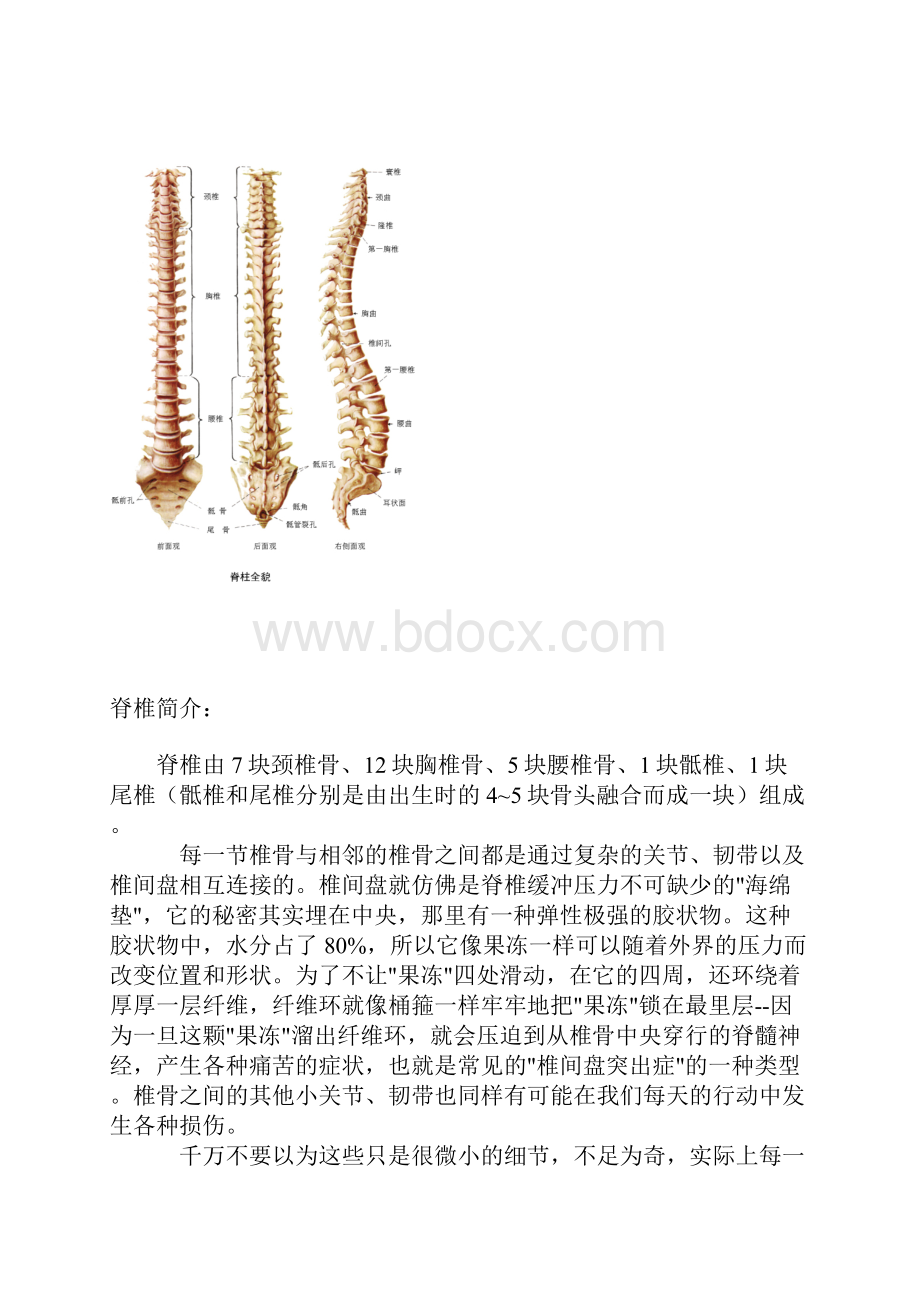 各种痛症的真实原因Word下载.docx_第2页