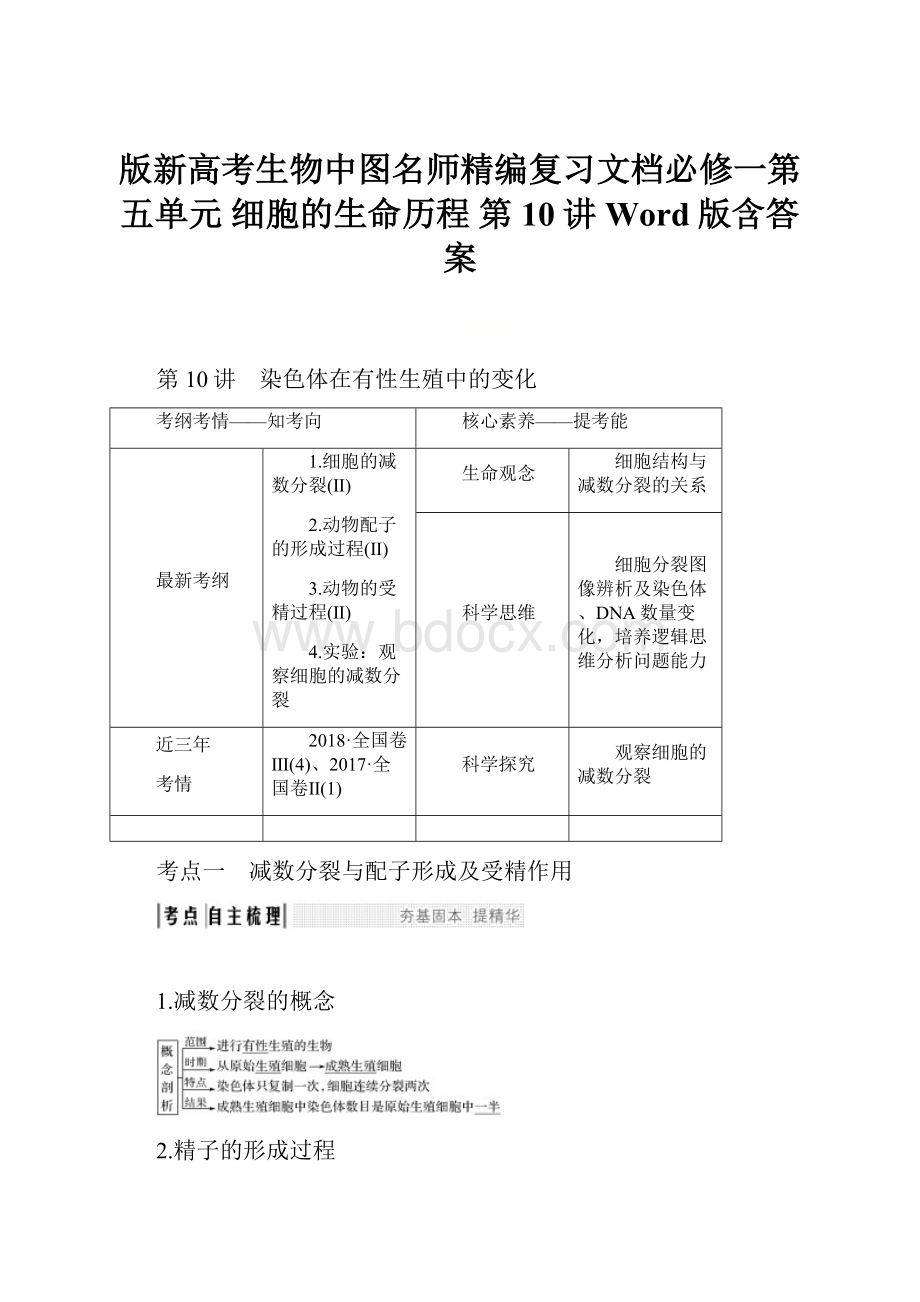 版新高考生物中图名师精编复习文档必修一第五单元 细胞的生命历程 第10讲 Word版含答案文档格式.docx_第1页