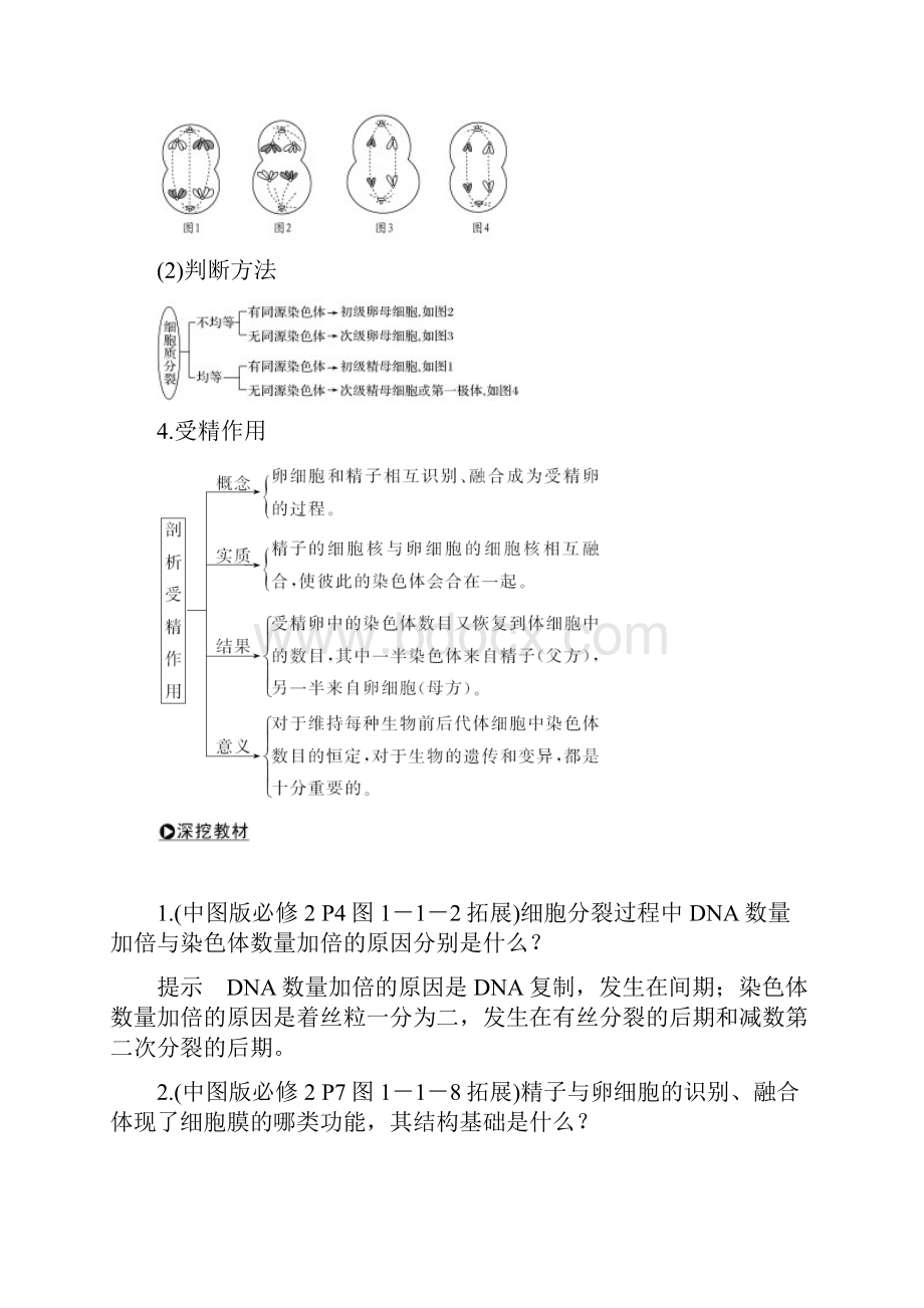 版新高考生物中图名师精编复习文档必修一第五单元 细胞的生命历程 第10讲 Word版含答案文档格式.docx_第3页