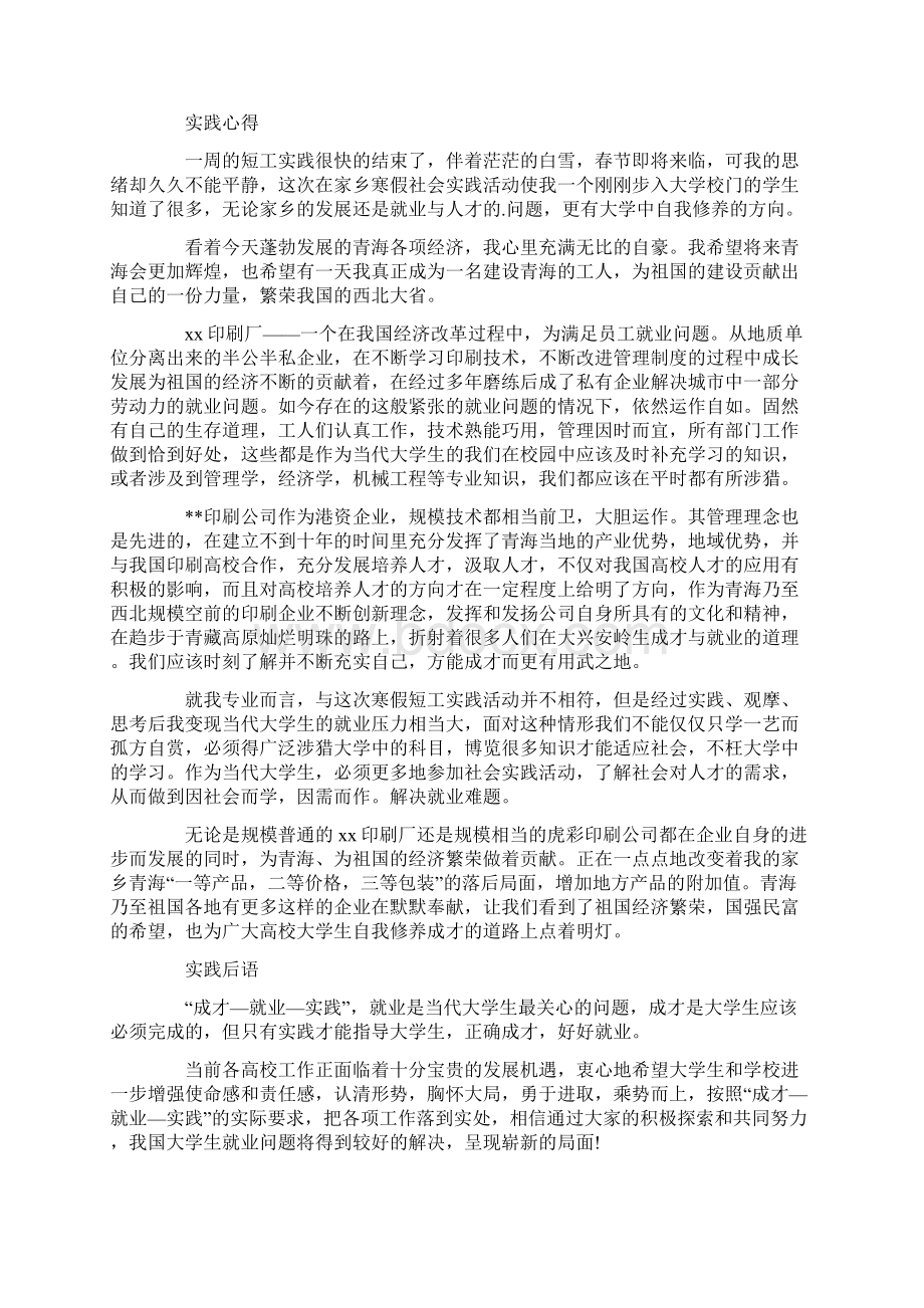 精选实践实习报告模板合集五篇最新文档格式.docx_第3页