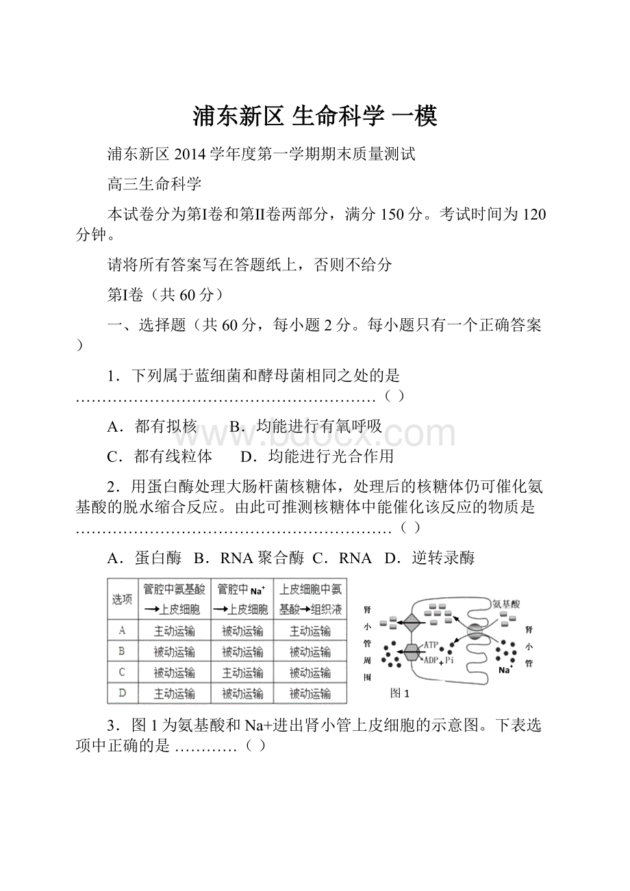 浦东新区生命科学 一模.docx