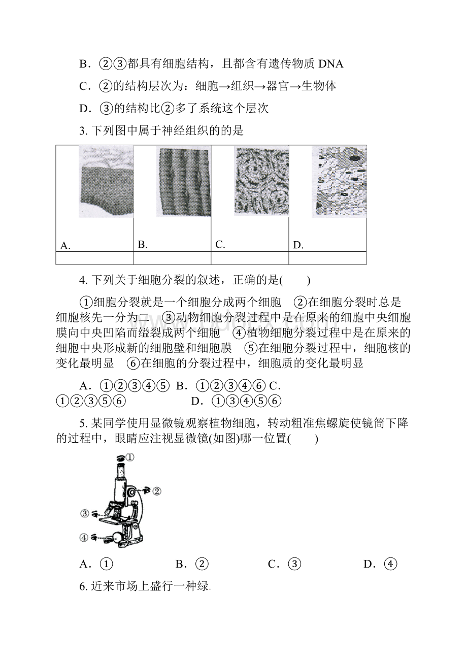 钦州港区七年级生物月考试题及答案.docx_第2页