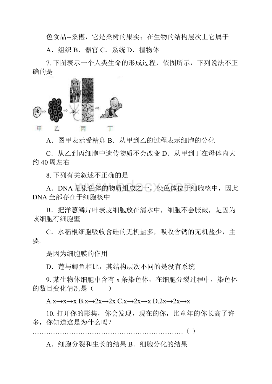 钦州港区七年级生物月考试题及答案.docx_第3页