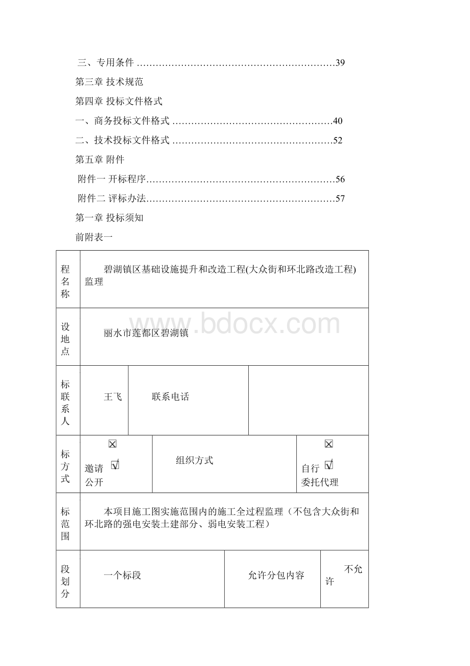 碧湖镇区基础设施提升和改造工程大众街和环北路改造工程文档格式.docx_第2页