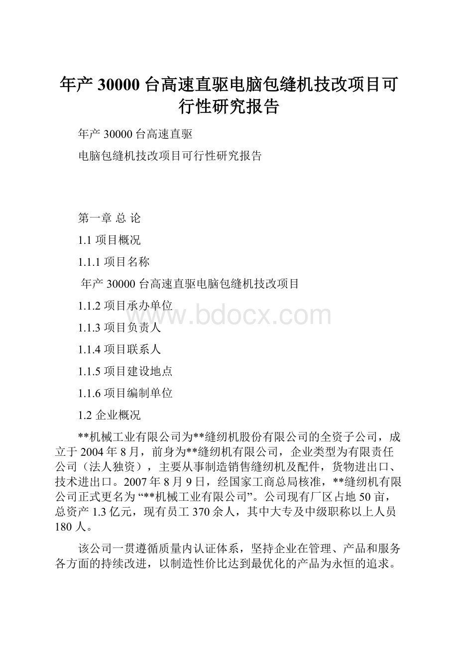 年产30000台高速直驱电脑包缝机技改项目可行性研究报告.docx_第1页