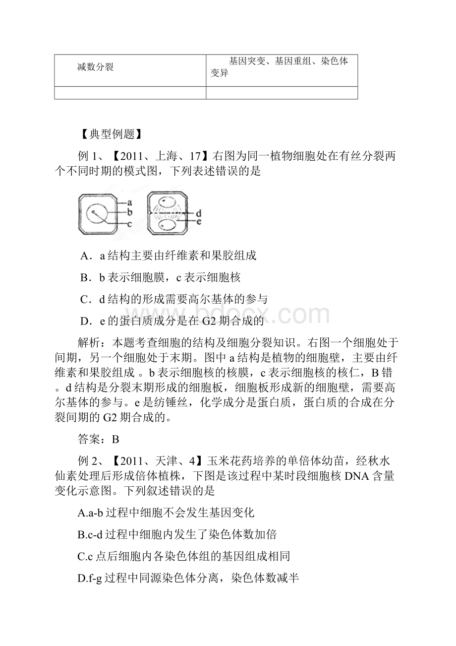 细胞的生命历程教案.docx_第3页