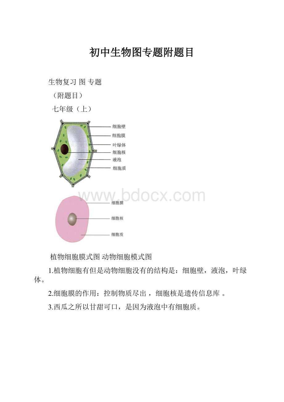 初中生物图专题附题目.docx