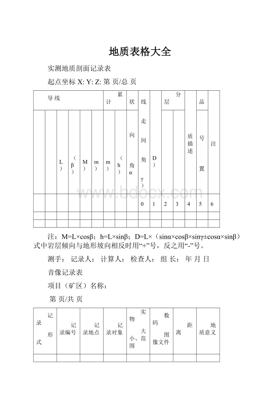 地质表格大全.docx