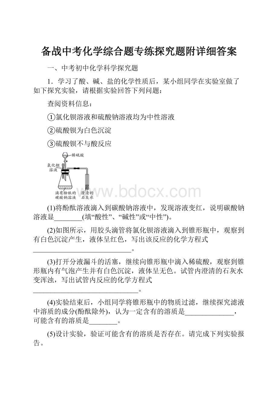 备战中考化学综合题专练探究题附详细答案.docx