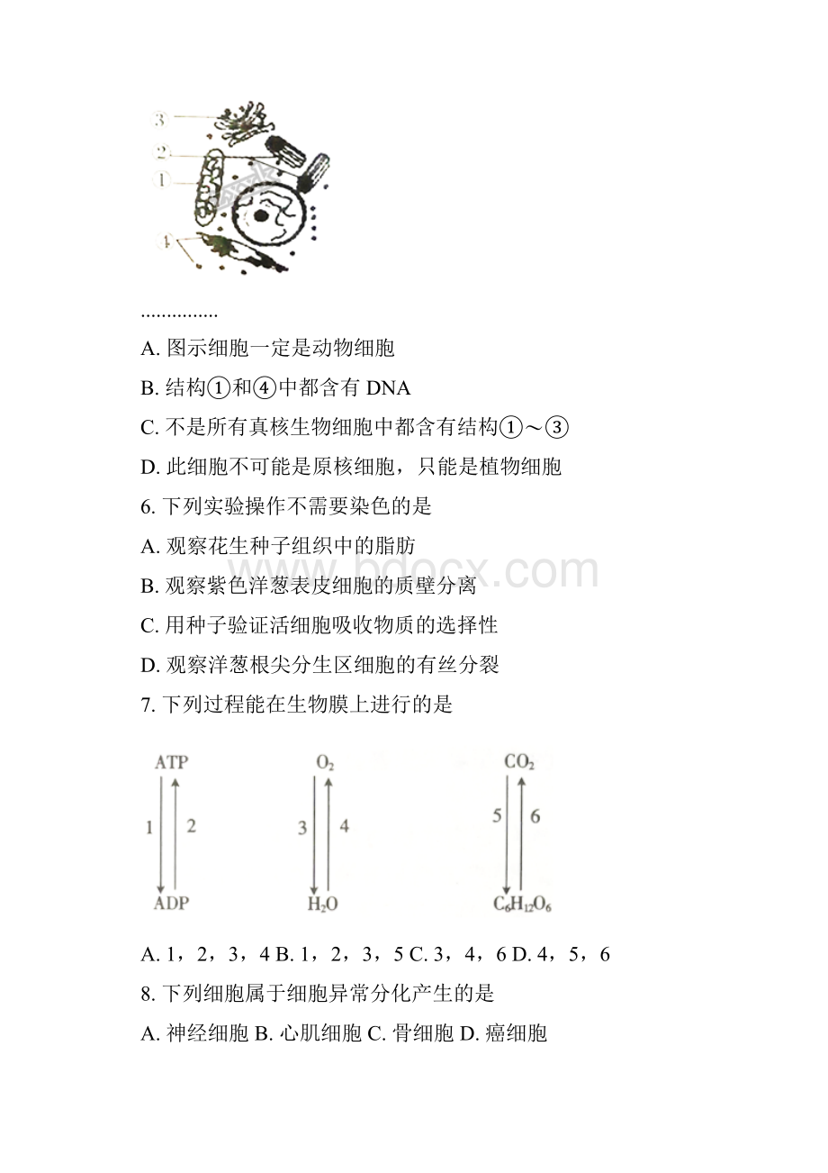 全国百强校山西省长治二中康杰中学忻州一中等五校届高三摸底考试生物试题原卷版.docx_第2页