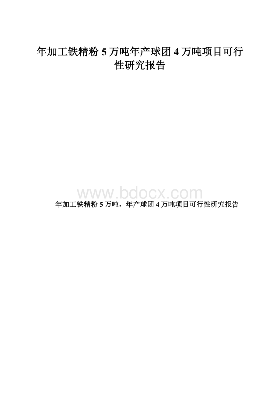 年加工铁精粉5万吨年产球团4万吨项目可行性研究报告.docx_第1页