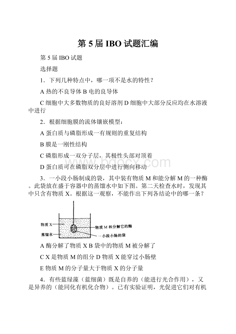 第5届IBO试题汇编.docx_第1页