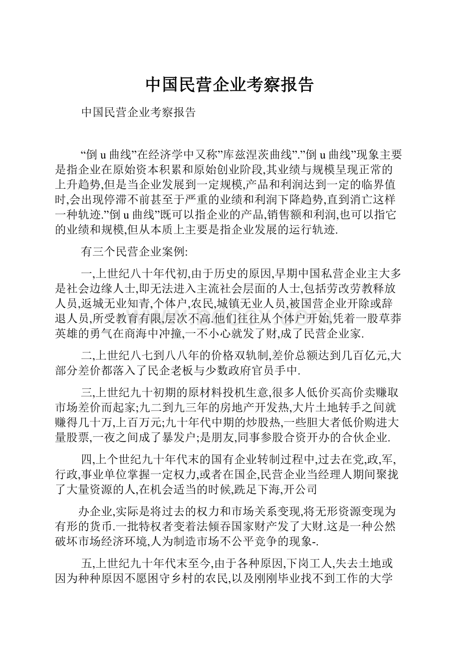 中国民营企业考察报告.docx_第1页