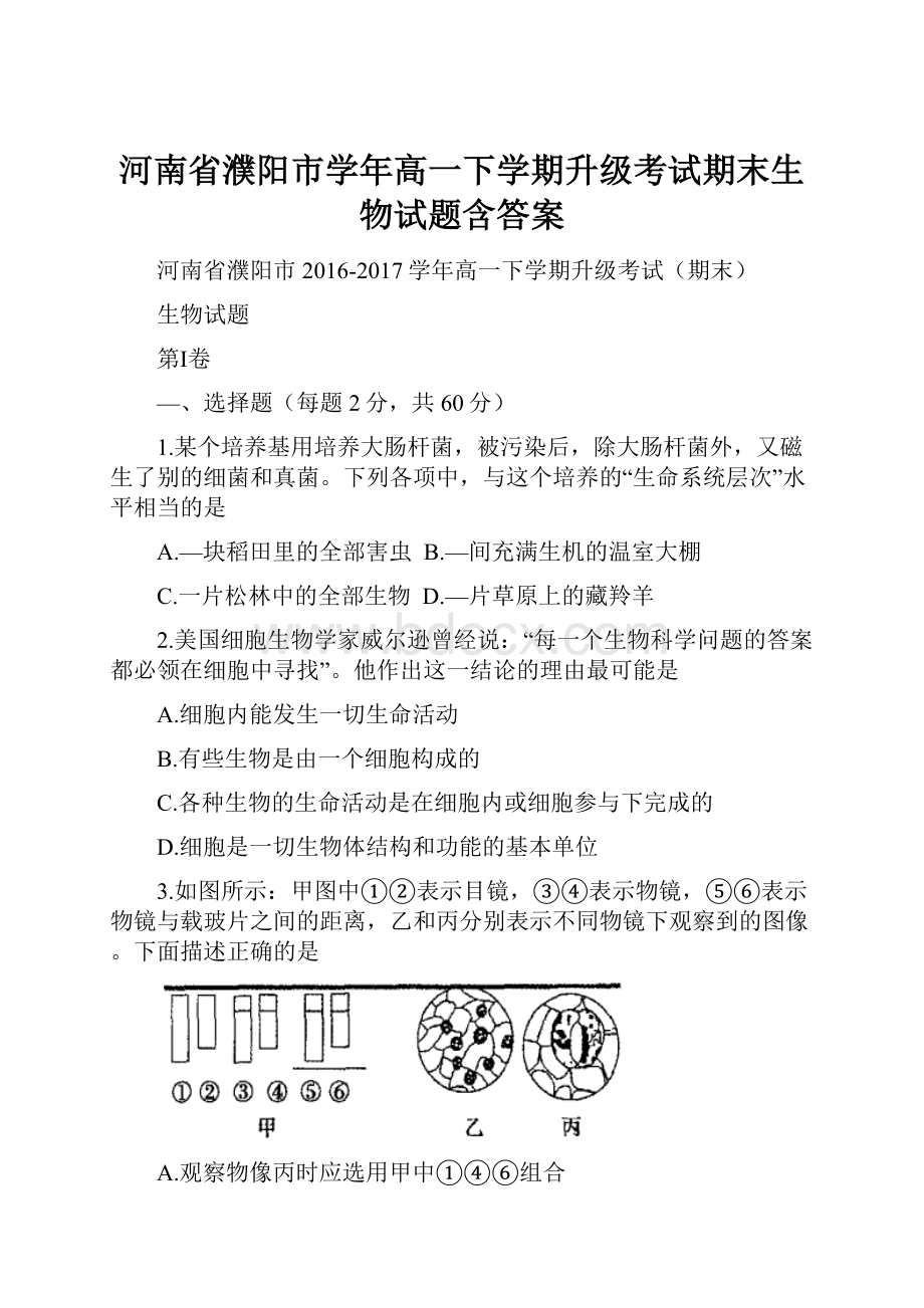 河南省濮阳市学年高一下学期升级考试期末生物试题含答案.docx