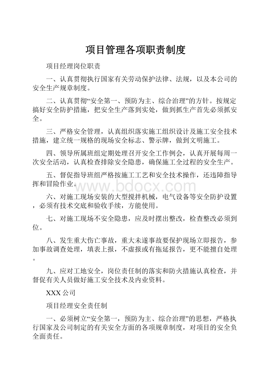 项目管理各项职责制度.docx_第1页