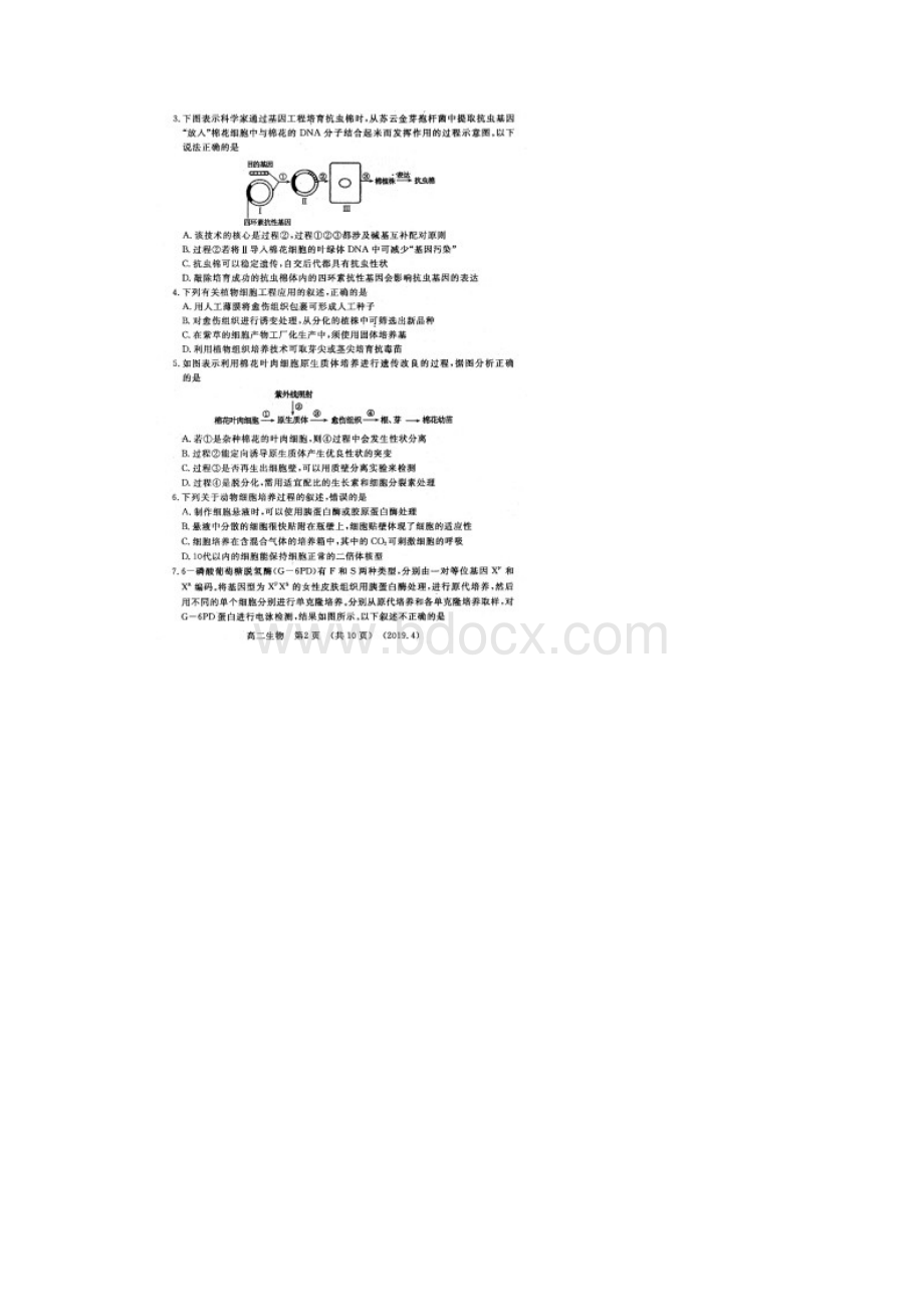 学年河南省洛阳市高二第二学期期中考试生物试题扫描版.docx_第2页