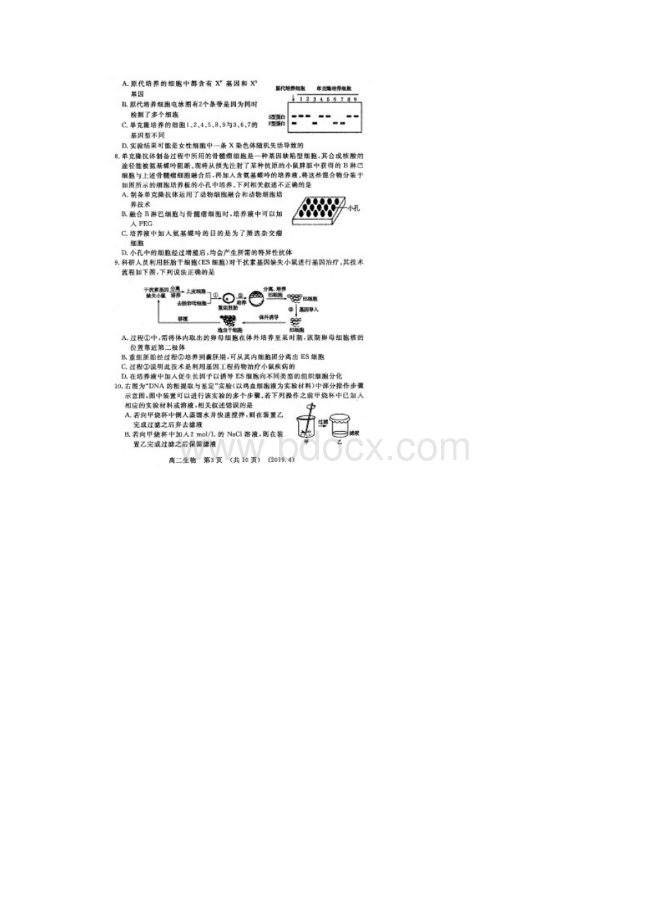 学年河南省洛阳市高二第二学期期中考试生物试题扫描版.docx_第3页