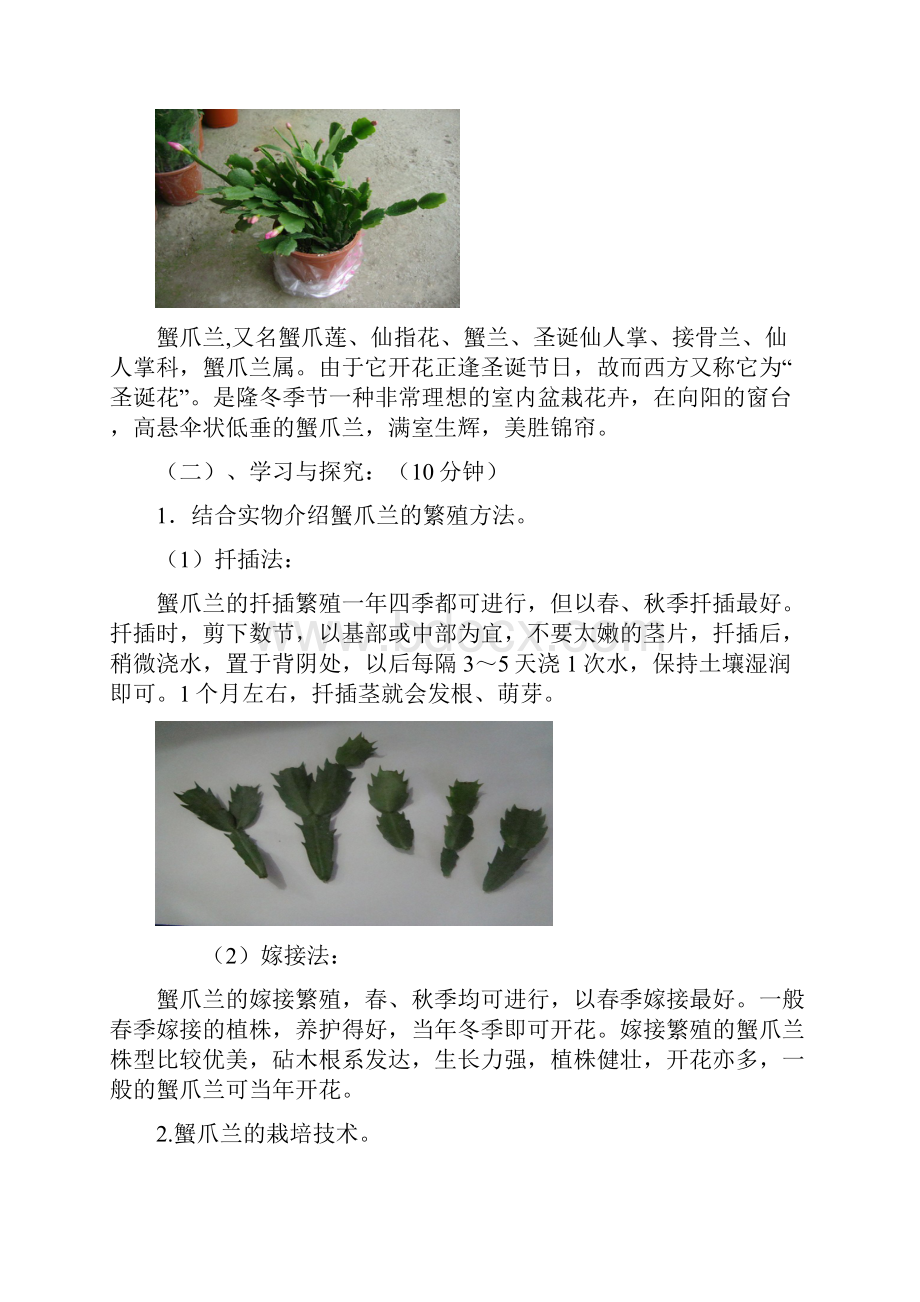 植物栽培.docx_第3页