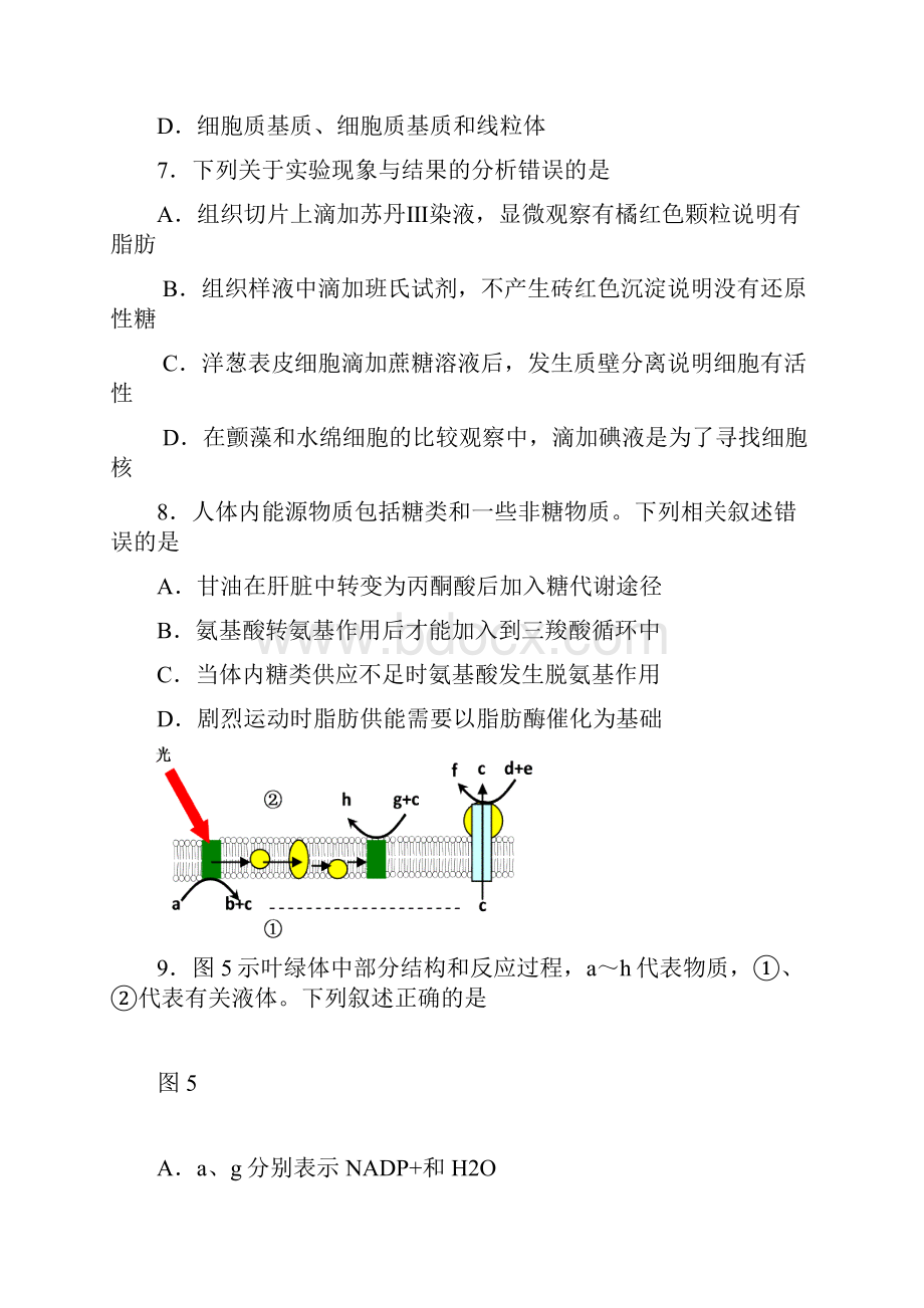 虹口区高三生命科学一模卷.docx_第3页