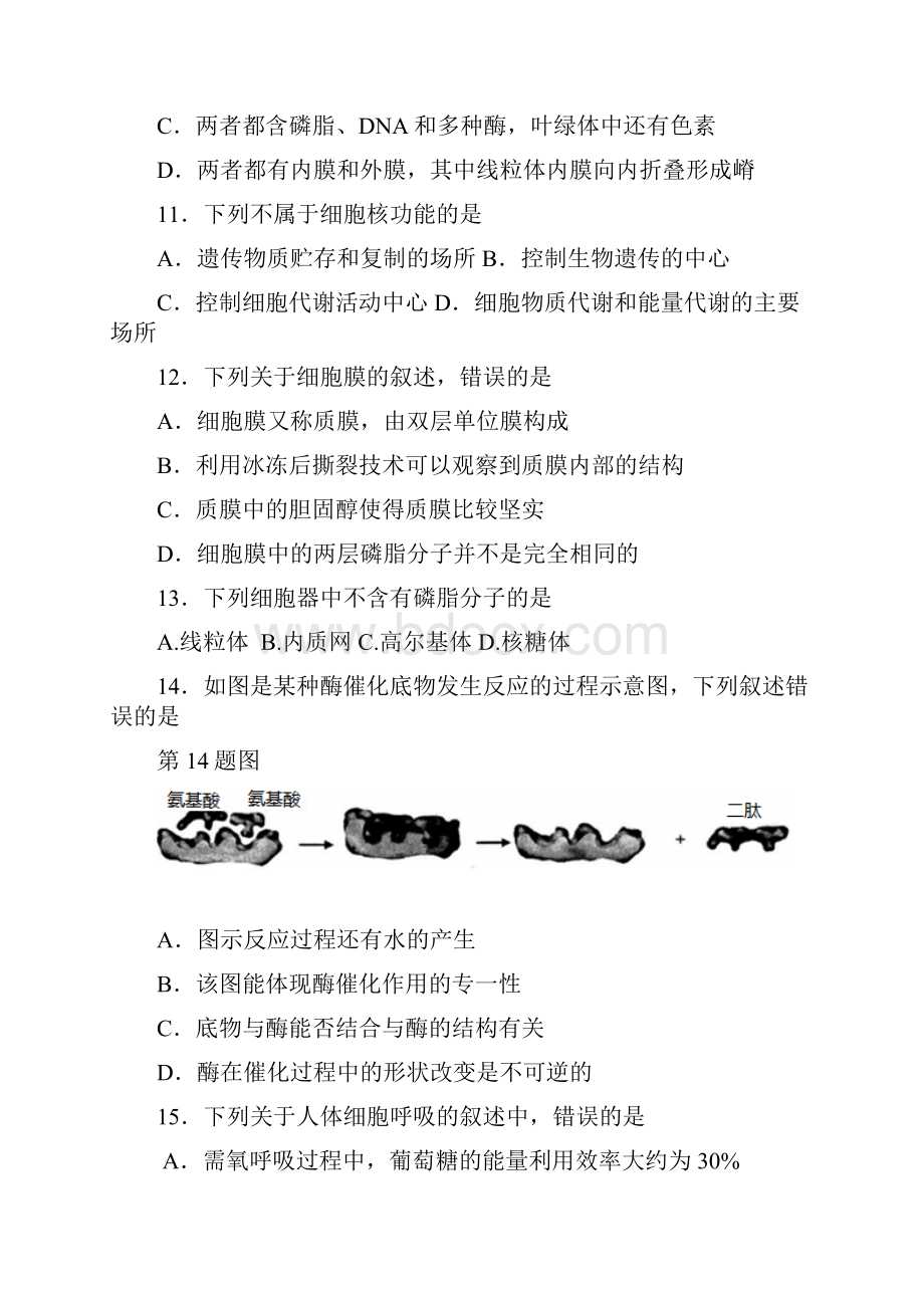 浙江省杭州市八校联盟学年高二上学期期中考试生物试题 word版含答案含答案.docx_第3页