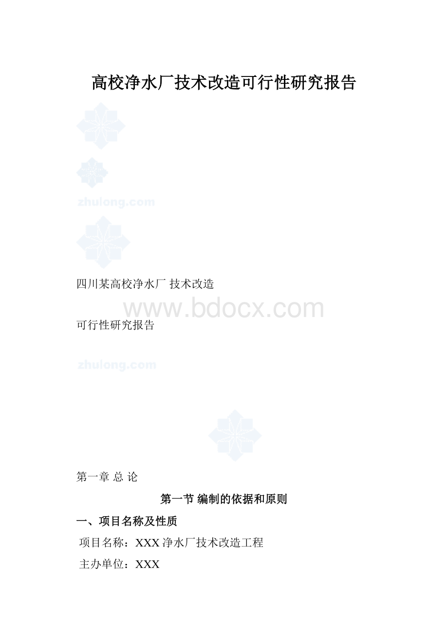 高校净水厂技术改造可行性研究报告.docx