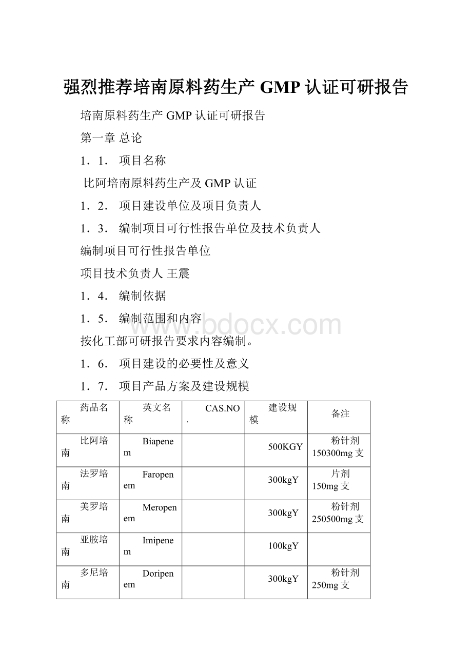 强烈推荐培南原料药生产GMP认证可研报告.docx