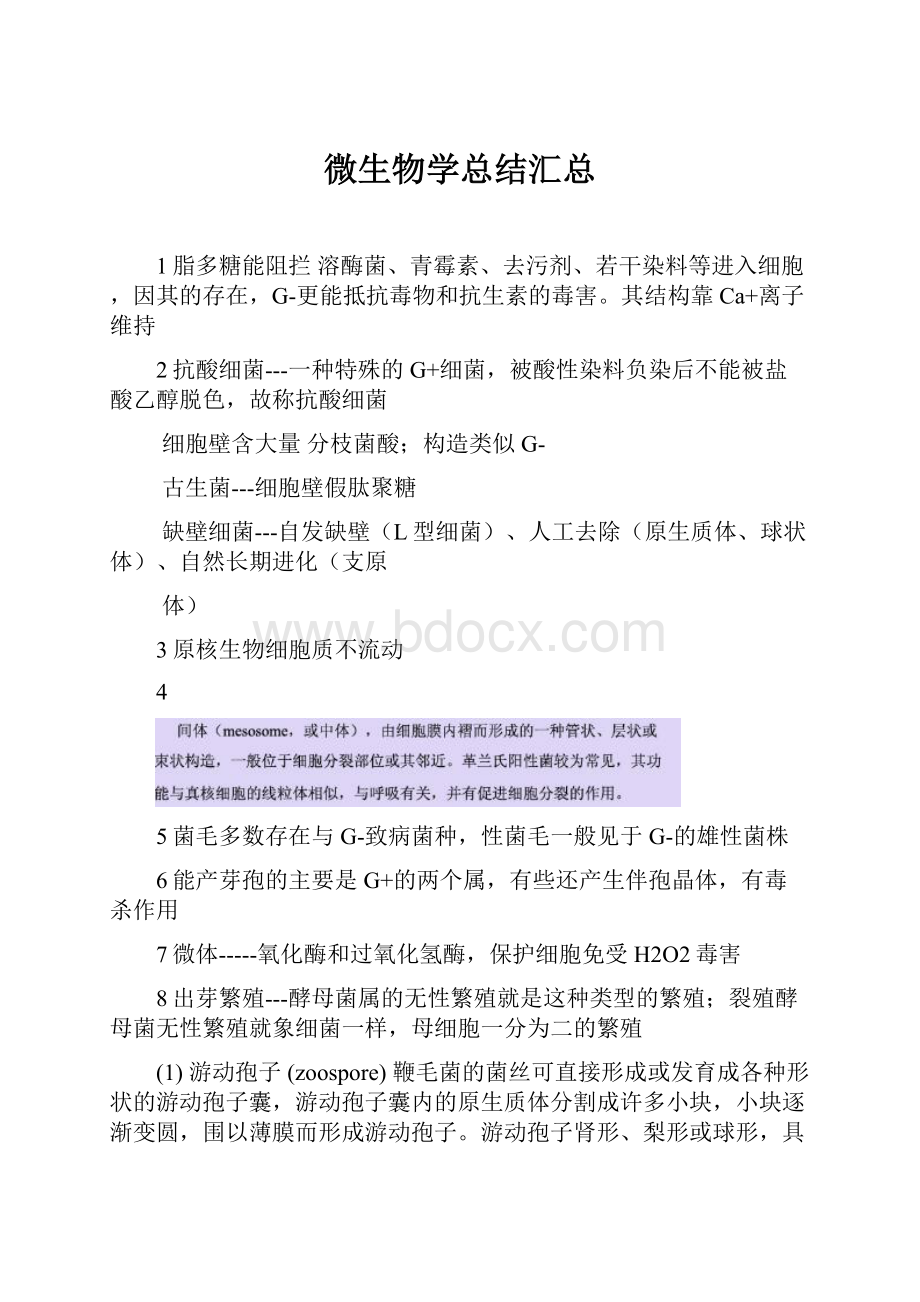 微生物学总结汇总.docx