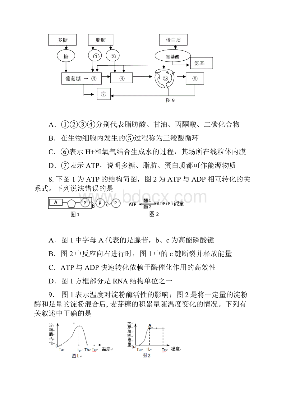 第4章物质转变和能量转化汇总.docx_第3页