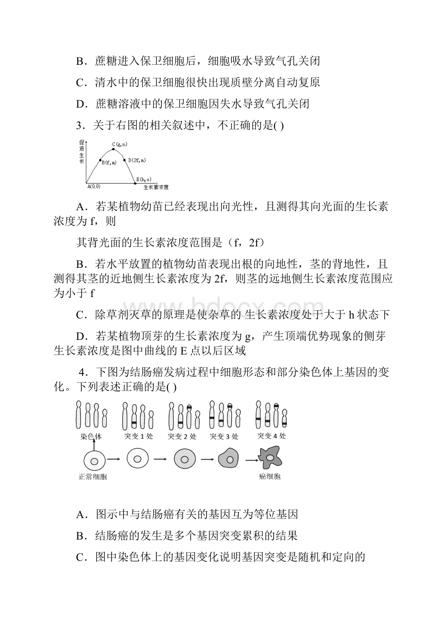 湖南省岳阳市一中届高三下学期第六次质量检测理科综合试题.docx_第2页