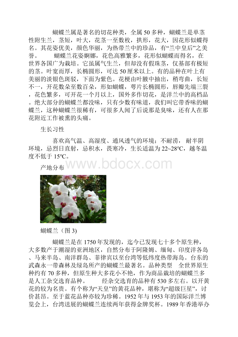 蝴蝶兰形态特征.docx_第3页