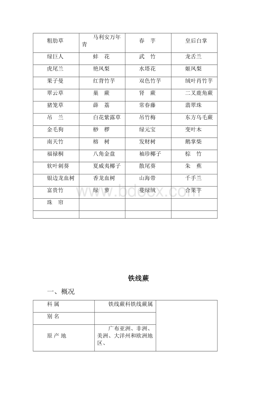 常见室内观叶植物图解.docx_第2页