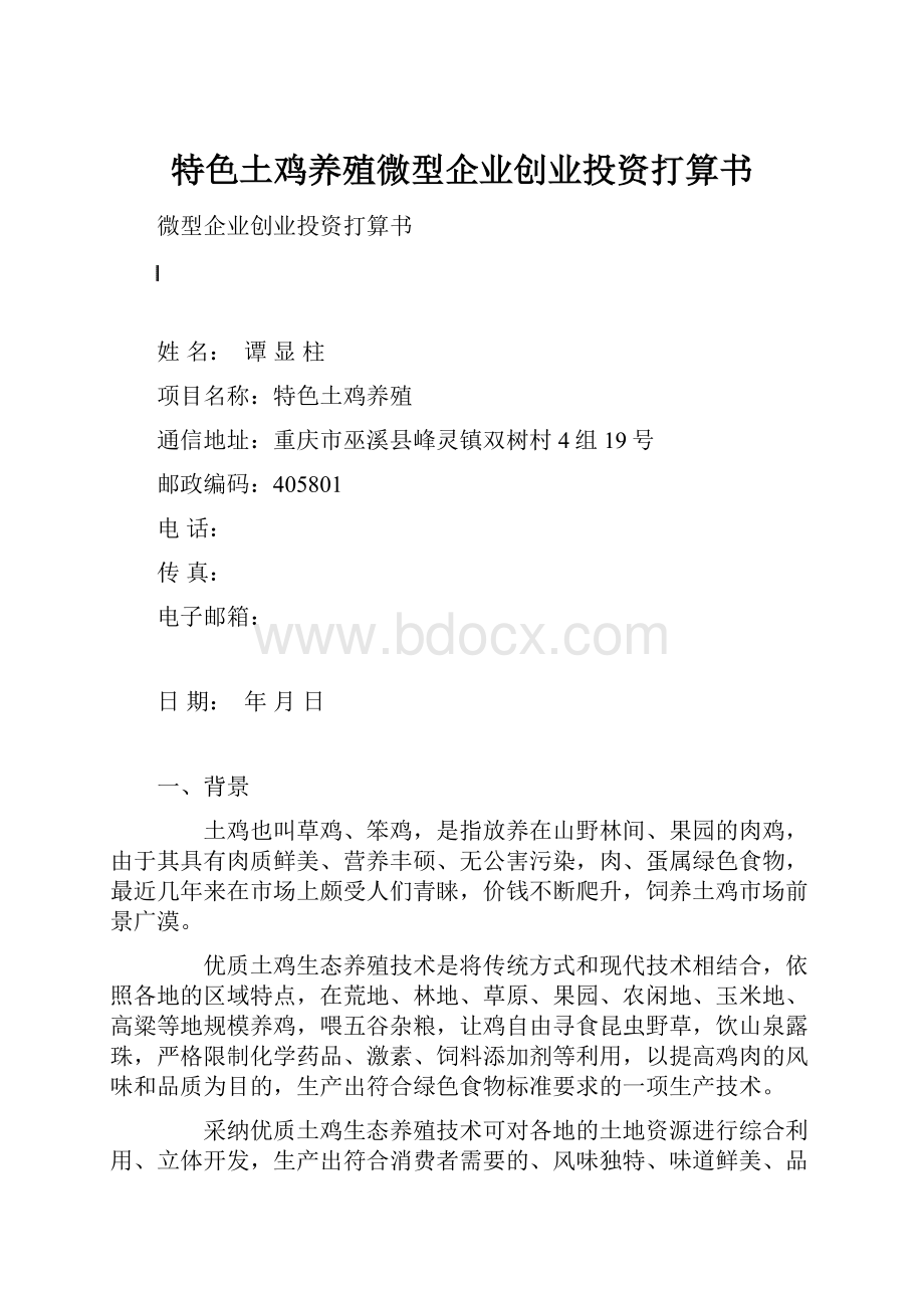 特色土鸡养殖微型企业创业投资打算书.docx