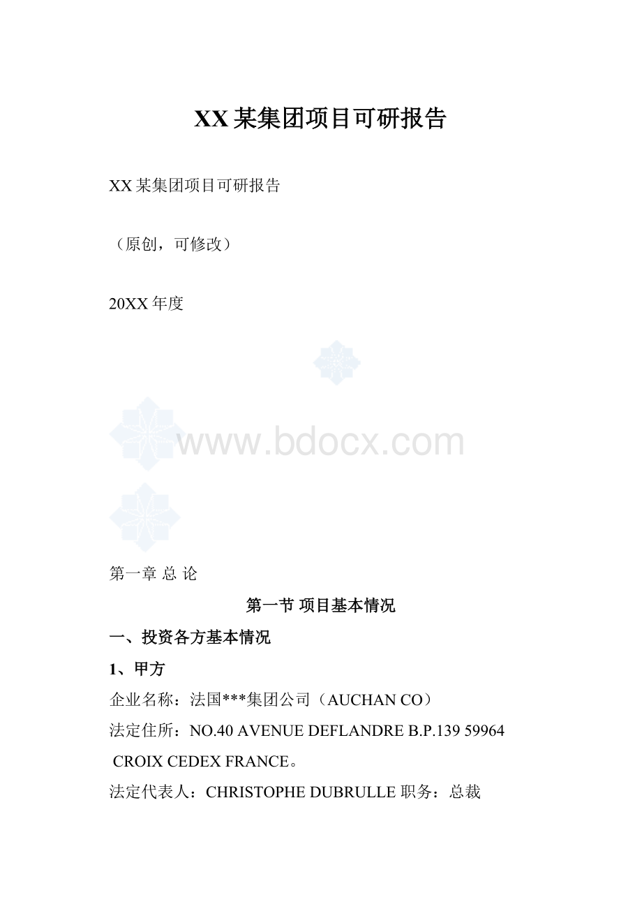 XX某集团项目可研报告.docx