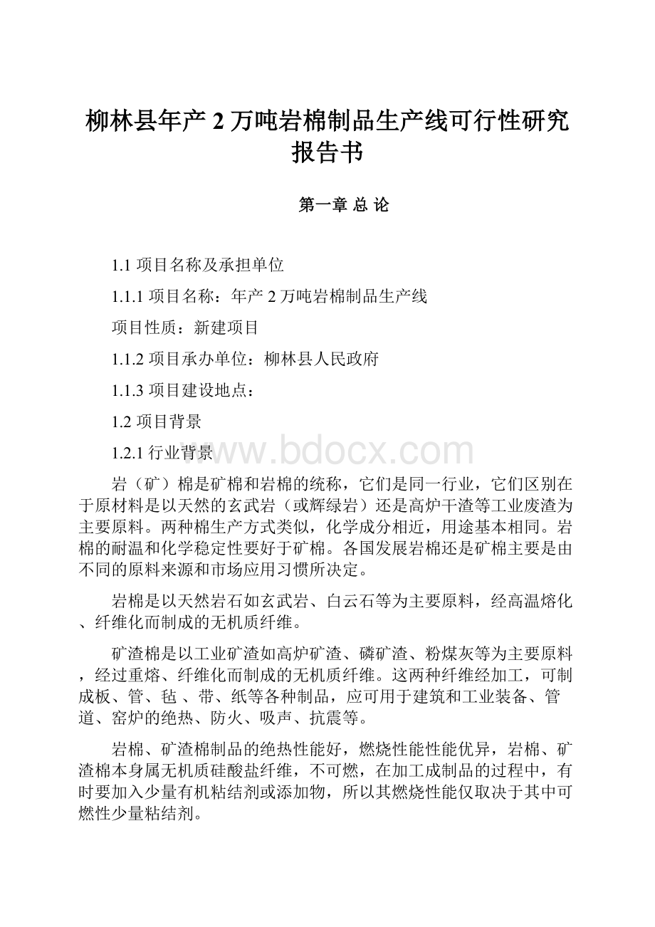 柳林县年产2万吨岩棉制品生产线可行性研究报告书.docx