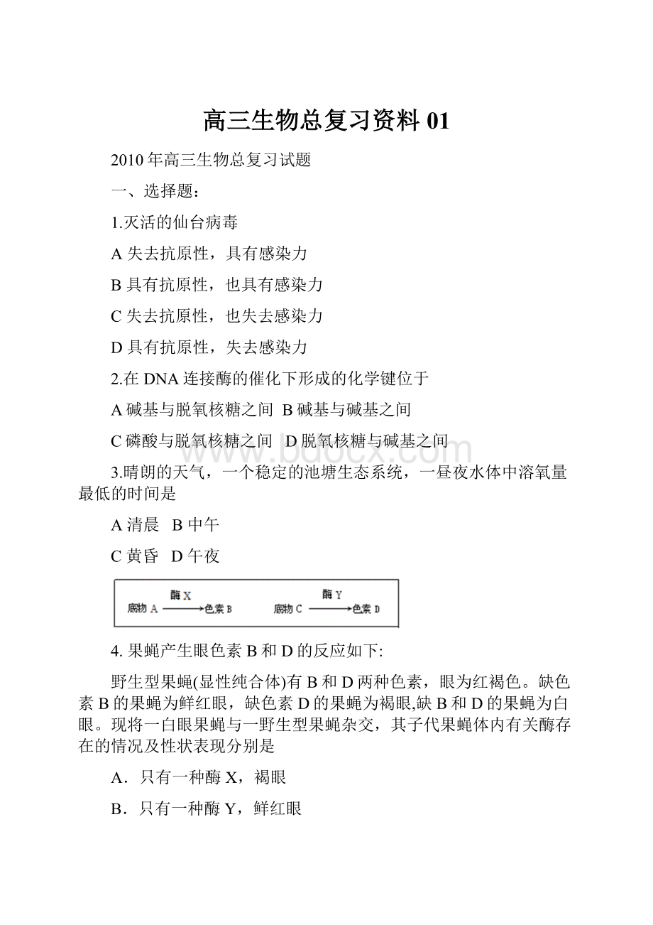 高三生物总复习资料01.docx