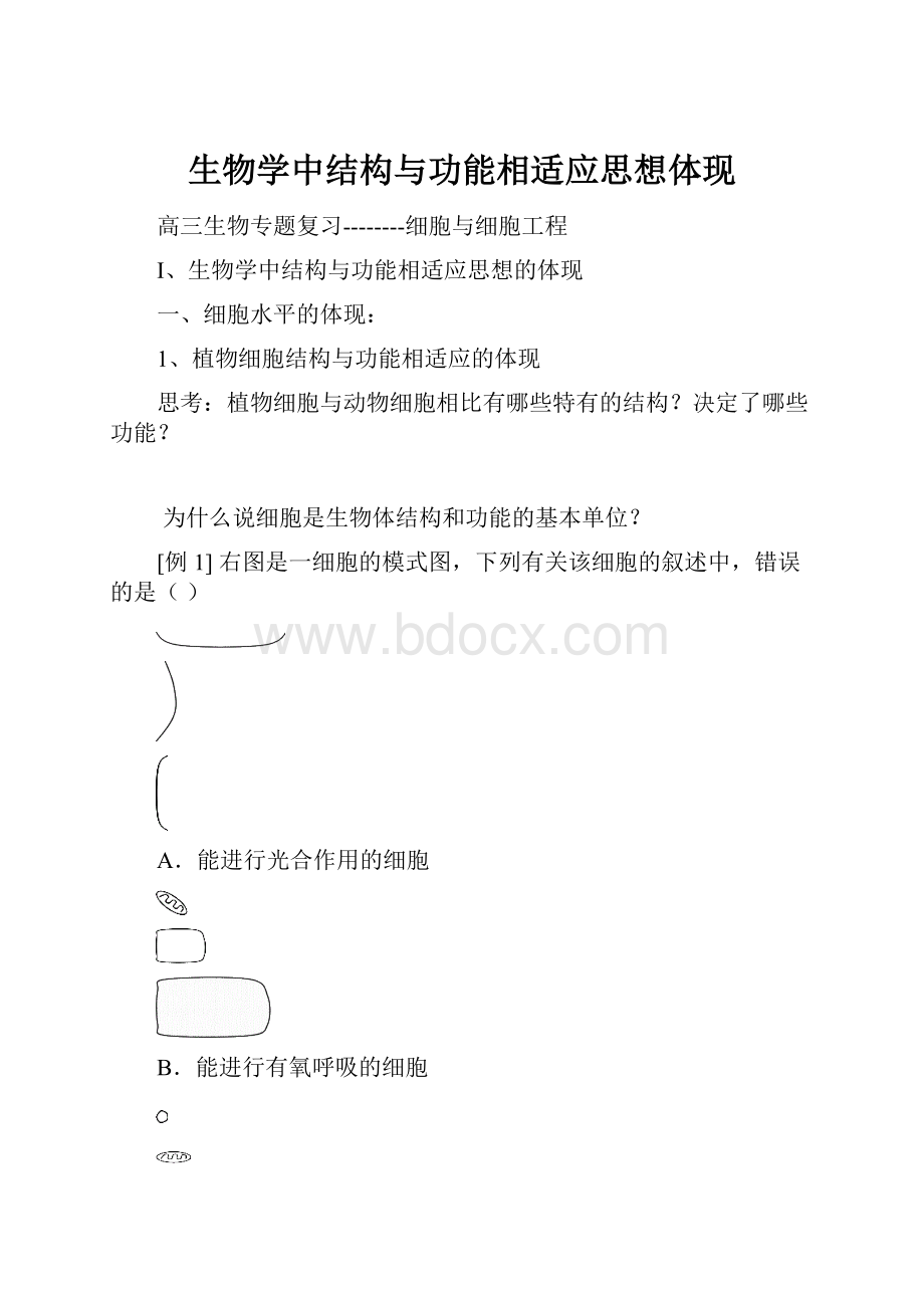 生物学中结构与功能相适应思想体现.docx_第1页