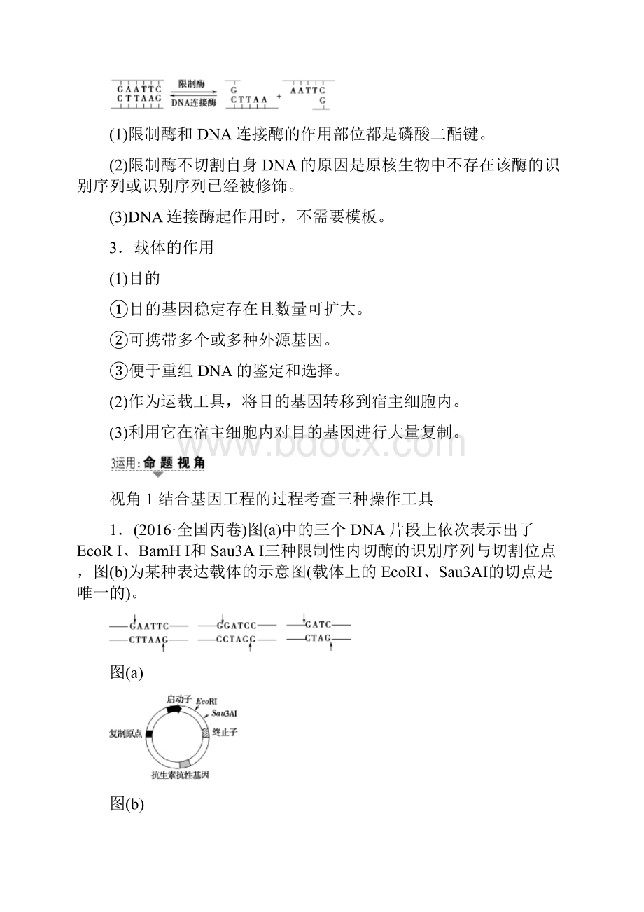 届高三生物一轮复习 第1讲 基因工程讲义 新人教版选修3.docx_第3页