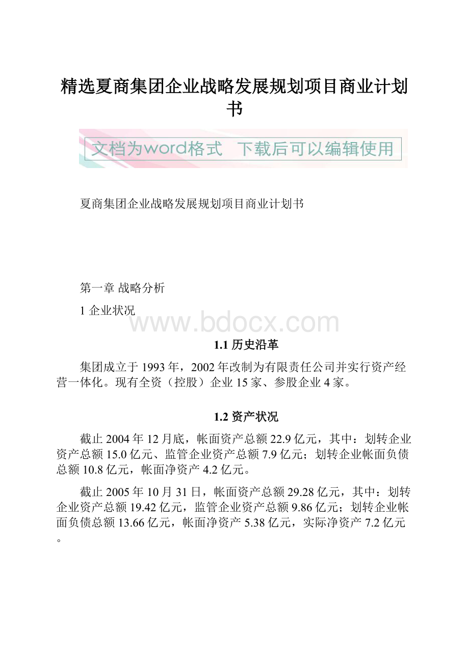 精选夏商集团企业战略发展规划项目商业计划书.docx_第1页