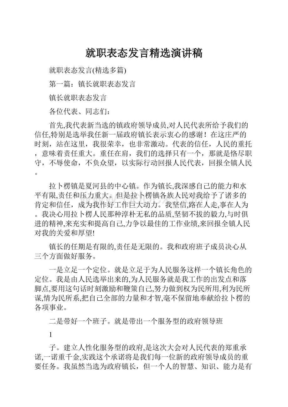 就职表态发言精选演讲稿.docx