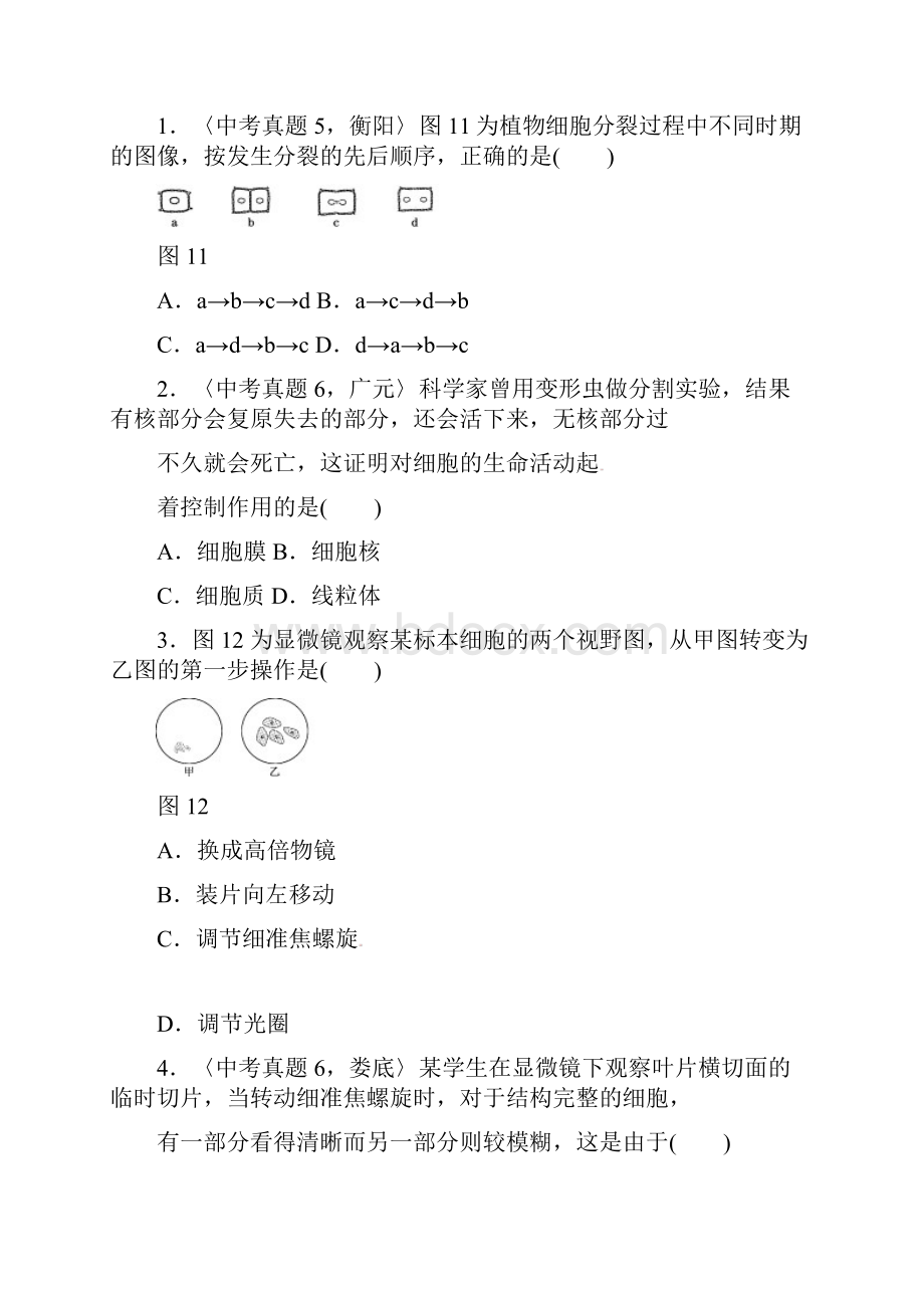 精选最新新人教版中考生物总复习专项训练合集汇编附答案.docx_第2页