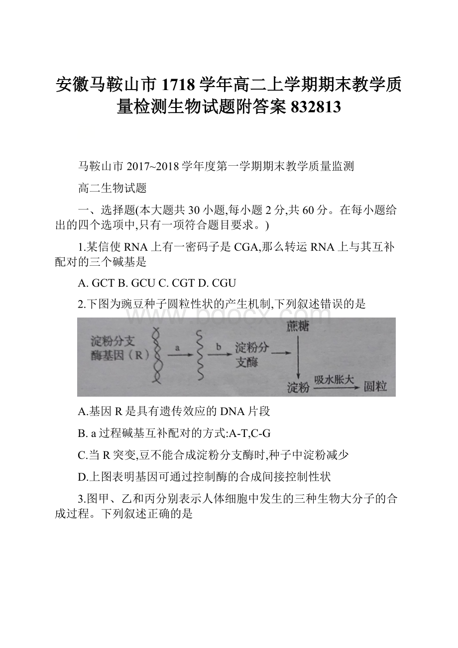 安徽马鞍山市1718学年高二上学期期末教学质量检测生物试题附答案832813.docx_第1页